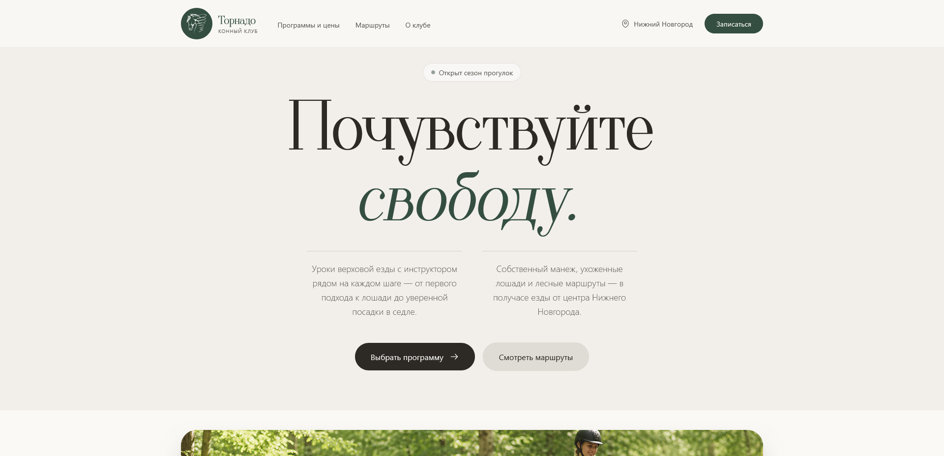 HorseSchool website preview