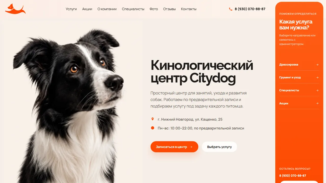 Превью проекта Citydog